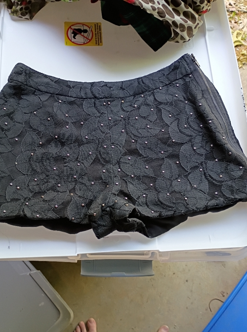 HOMAGE Black Lace Shorts with Mesh Detail